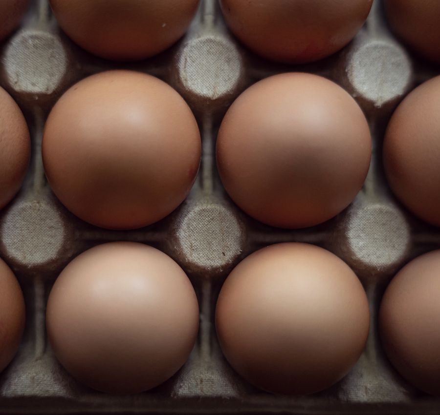 Brown eggs in a tray
